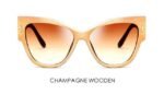 Gradient Points Cat Eye Sunglasses - Image 14